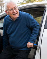 LiftAssist™ Car Assist Handle